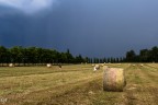in the field in the field