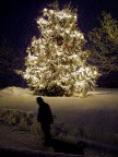 Perfido natale... Perfido natale...