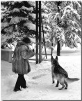 Vacanze sulla neve Vacanze sulla neve