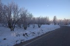 ... dopo la nevicata ... dopo la nevicata