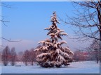 neve in città. neve in città.