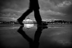 reflex reflex