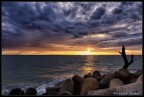 Ray of Sunset Ray of Sunset