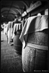Old Wine Old Wine