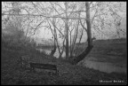 Forgotten Forgotten