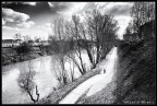 The way of loneliness The way of loneliness