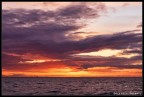 Sunset Sunset