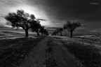 The Way Home The Way Home