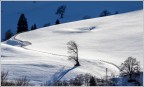 Inverno sugli alti pascoli. Inverno sugli alti pascoli.