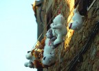 panni al sole panni al sole