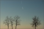 Una virgola tra i sussurri del vento Una virgola tra i sussurri del vento