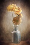 Visione personale di natura morta Visione personale di natura morta