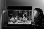 Bimbi... fabbriche di pensieri Bimbi... fabbriche di pensieri