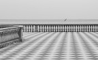 Terrazza Mascagni Terrazza Mascagni