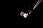 fore!!!!!!!!!!!!!!!!!!!!!!!!! fore!!!!!!!!!!!!!!!!!!!!!!!!!