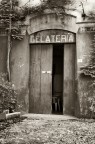 Gelateri Gelateri