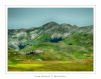 Dipinto a Castelluccio