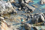Alla ricerca di molluschi ohh.. Mario... che diceee? Alla ricerca di molluschi ohh.. Mario... che diceee?