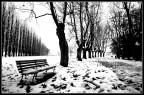 Prospettive di solitudine... Prospettive di solitudine...