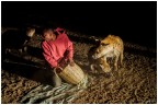 L'uomo che sfamava le iene, Harar 2015 L'uomo che sfamava le iene, Harar 2015