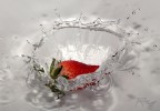 Splash