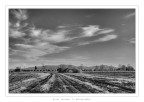 Paesaggio di campagna