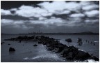 auckland auckland