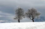 inverno all'Alpe di Siusi inverno all'Alpe di Siusi