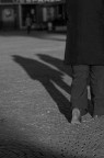 shadow