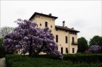 Parco Villa Cusani_Carate Brianza Parco Villa Cusani_Carate Brianza