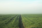 paesaggio paesaggio
