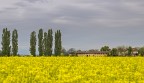 _MG_5667