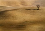 Crete Senesi Crete Senesi