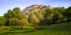Giardini di Calabria