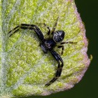 *** A braccia aperte ***