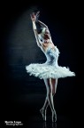 The Swan Lake The Swan Lake
