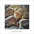 Scabrosit� terrestre