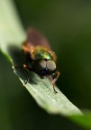 Prova macro Prova macro