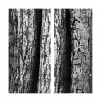 Sensorial material - Wood Sensorial material - Wood