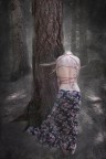tied in the woods tied in the woods