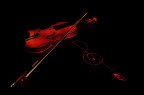violino &amp; violino