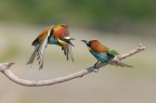 L'attacco L'attacco