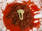 scream scream