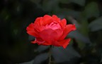Il sole mancava ma ero così bella ......... Il sole mancava ma ero così bella .........