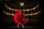 Red Red