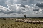 Nuvole di primavera Nuvole di primavera