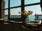 Urban flower 2