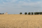 Trepuzzi 62015 Trepuzzi 62015