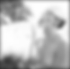 Flowers serie Flowers serie