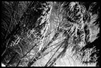 neve notturna neve notturna